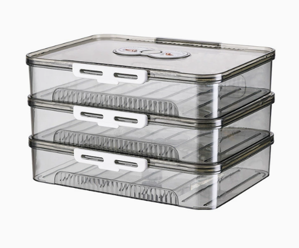 Transparent Dumpling Storage Box with Lid – Plastic Food Organizer Container (1pc)