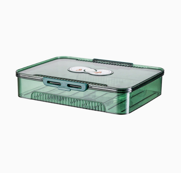 Transparent Dumpling Storage Box with Lid – Plastic Food Organizer Container (1pc)