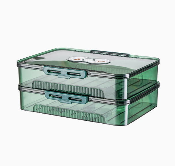 Transparent Dumpling Storage Box with Lid – Plastic Food Organizer Container (1pc)