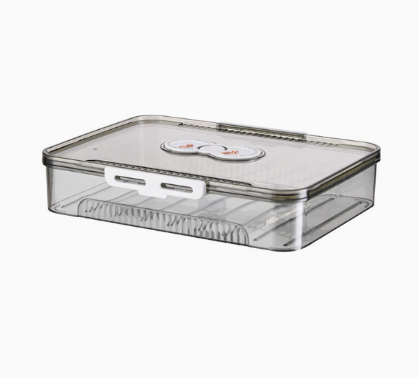 Transparent Dumpling Storage Box with Lid – Plastic Food Organizer Container (1pc)