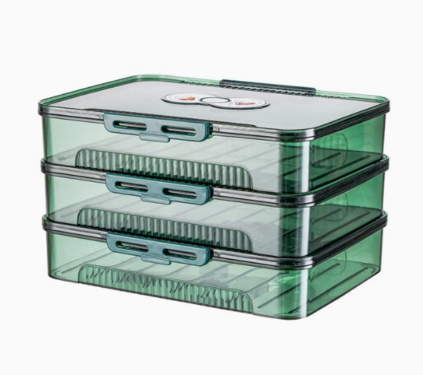 Transparent Dumpling Storage Box with Lid – Plastic Food Organizer Container (1pc)